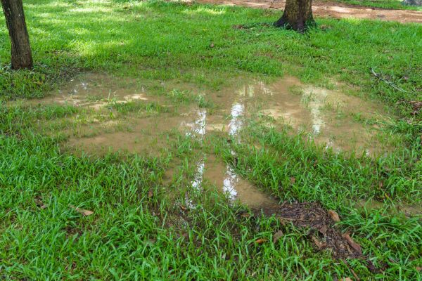 Cost of Storm Water Drainage Service in Renton