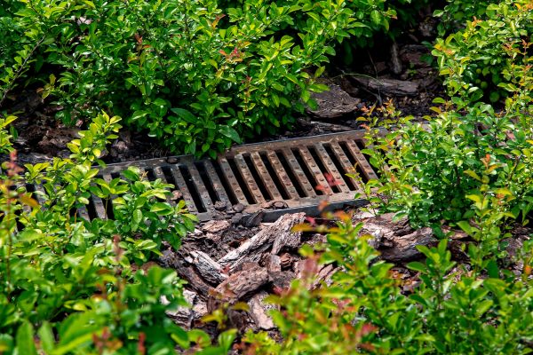 Cost of Underground Drainage Service in Renton