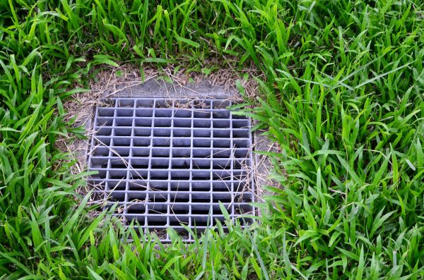 Cost of Yard Water Drainage in Renton