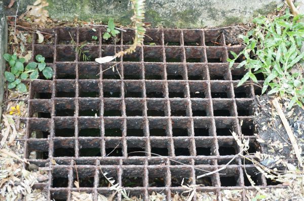 Cost of Yard Drain Cleaning in Renton