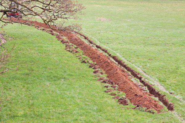 Cost of Swale Installation in Renton