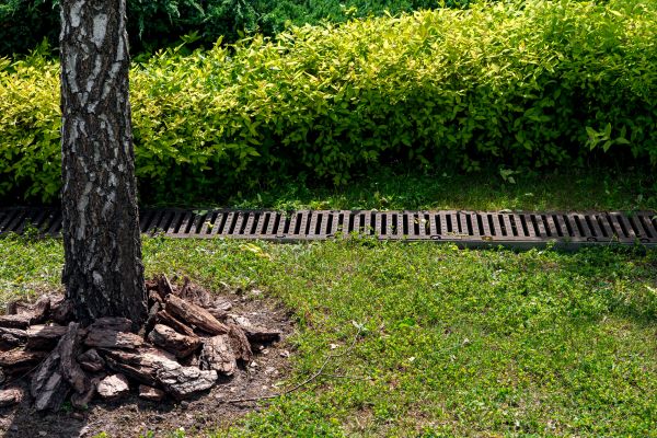 Cost of Garden Drainage Installation in Renton