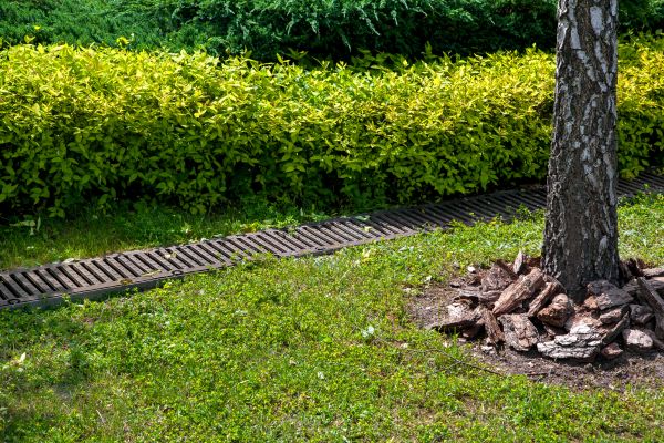 Cost of Residential Landscape Drainage in Renton