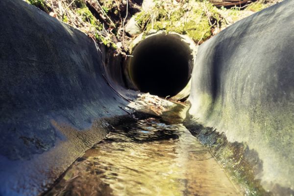 Drainage Swale Installation in Renton